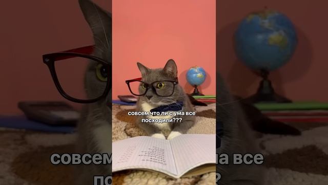 КОТИКИ В ШКОЛЕ - СТАРЫЕ МЕМЫ смотреть онлайн