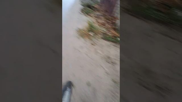 Закрытие ВЕЛОСЕЗОНА в ОКТЯБРЕ/STELS 310 ! смотреть онлайн