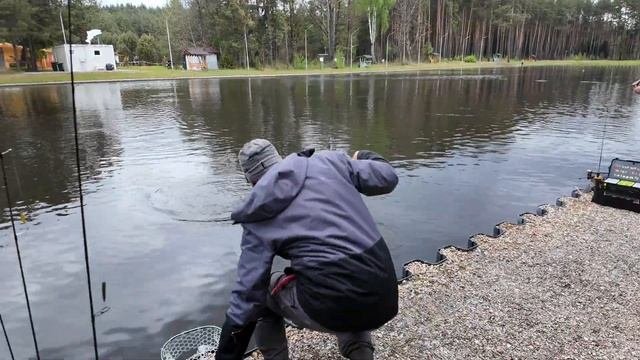 Спортивная ловля форели 17.05.2025