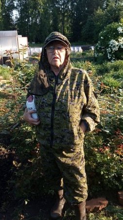 Вторая подкормка растений, кустарников и деревьев.