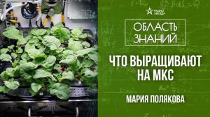 Космическое растениеводство. Лекция агронома Марии Поляковой