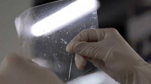 В Японии создали пластик, растворяющийся в морской воде