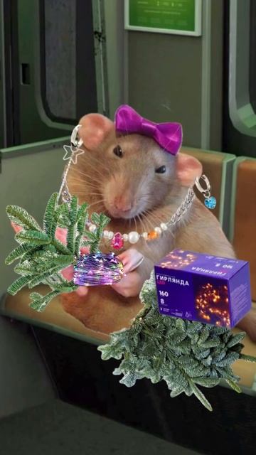 Умные мастерицы знают, когда надо закупать нобилис и новогодние украшения #новыйгод #декор смотреть онлайн