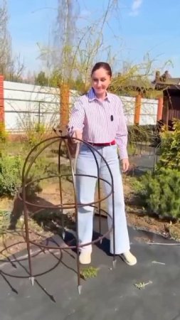 МНОГО ИЗВЕСТНЫХ САДОВЫХ КОМПАНИЙ В ОДНОМ МЕСТЕ #нетипичныйсадовод