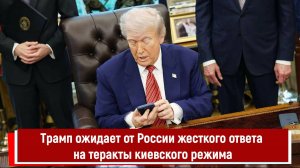 Трамп ожидает от России жесткого ответа на теракты киевского режима