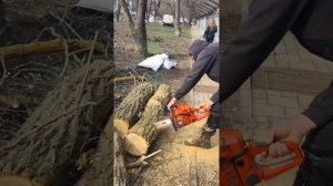 Бензопила CanFly в работе #CanFly #chainsaw #бензопила