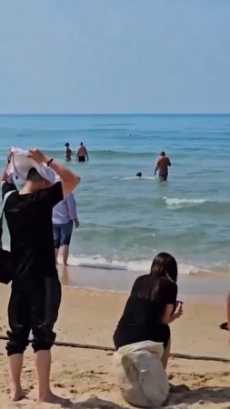 🤔 Обстановка на пляже в Анапе  Местные купаются в море с детьми, несмотря на запреты и штрафы.