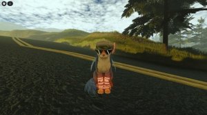 Небольшая подборка Котов воителей, все видео мои!