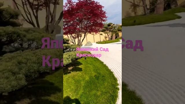 Японский Сад- В Парке Галицкого Краснодар. +27. 27.04.23 Ура смотреть онлайн