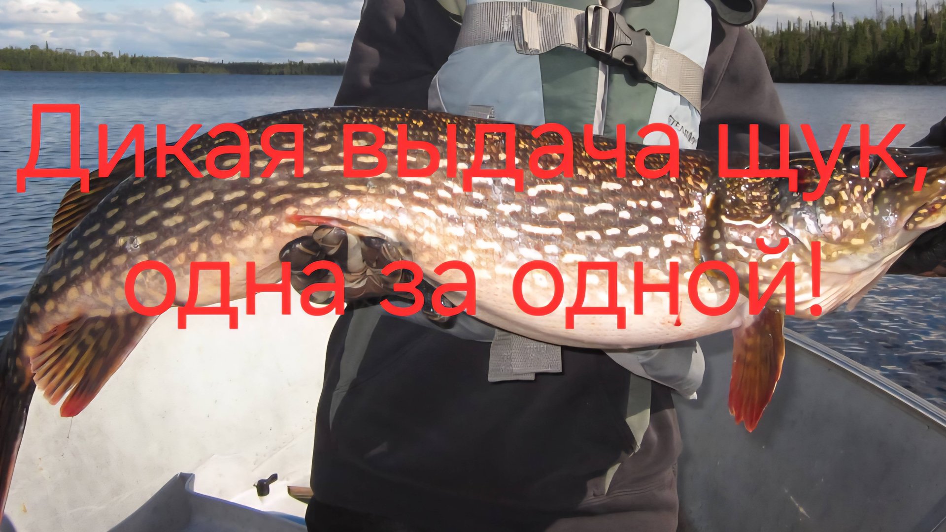 Бешеная выдача щук на джиг с лодки. Рыбалка на реке обь. смотреть онлайн