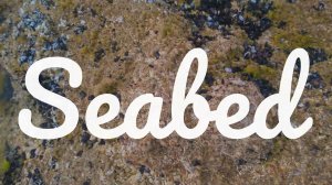 Seabed