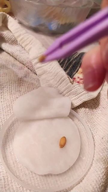 26 января 2024 г. смотреть онлайн