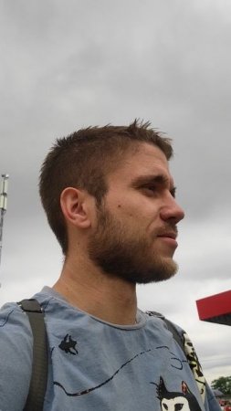 птичка и сирень