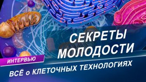 Клеточная терапия и молодость: научные достижения белорусских ученых