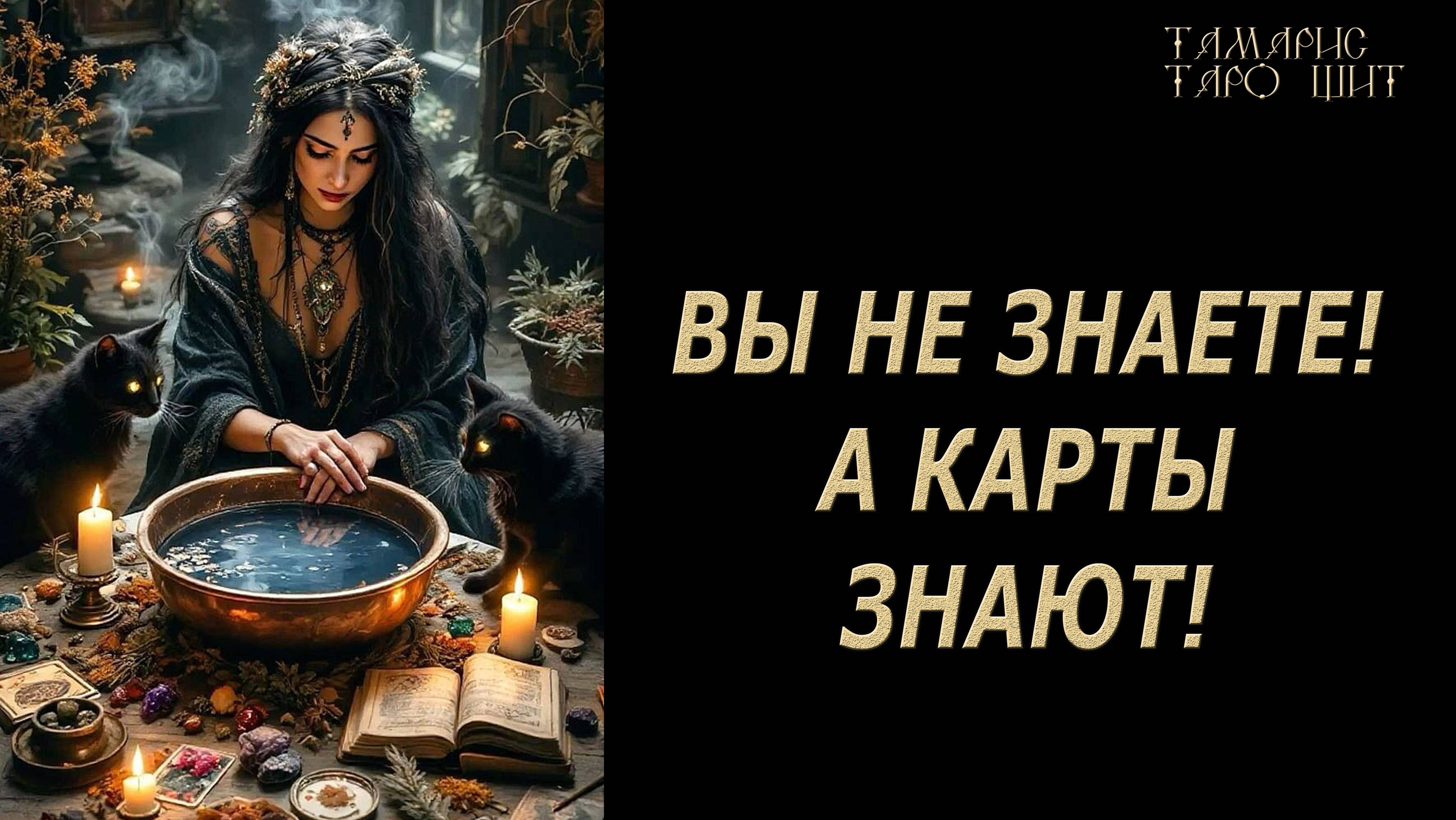 Вы не знаете, а карты знают🔥 💯🔥#таро#лучшее#личный#расклад#онлайн#tarot#online#чтобудет
