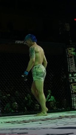Лучшие нокауты Подпишись и ставь лайк #ufc #mma #youtube #sports #tiktok #shortsvideo #russia #box