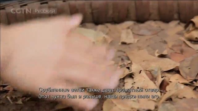 Чай - история одного листа Серия 2 Конец пути Часть 2 [Age0 смотреть онлайн