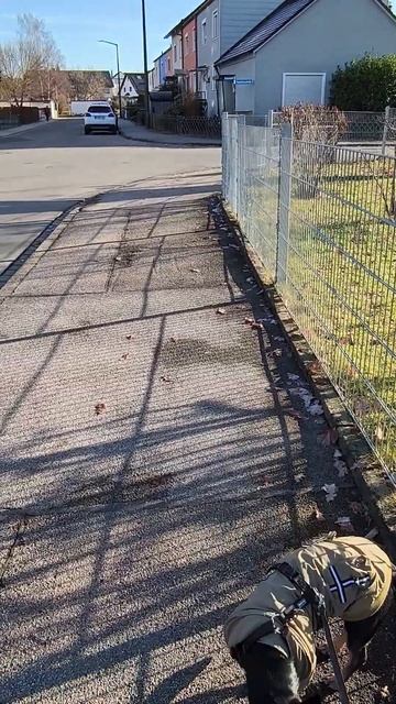 Не хочет идти на эту улицу.😂 Там живёт большая собака. смотреть онлайн