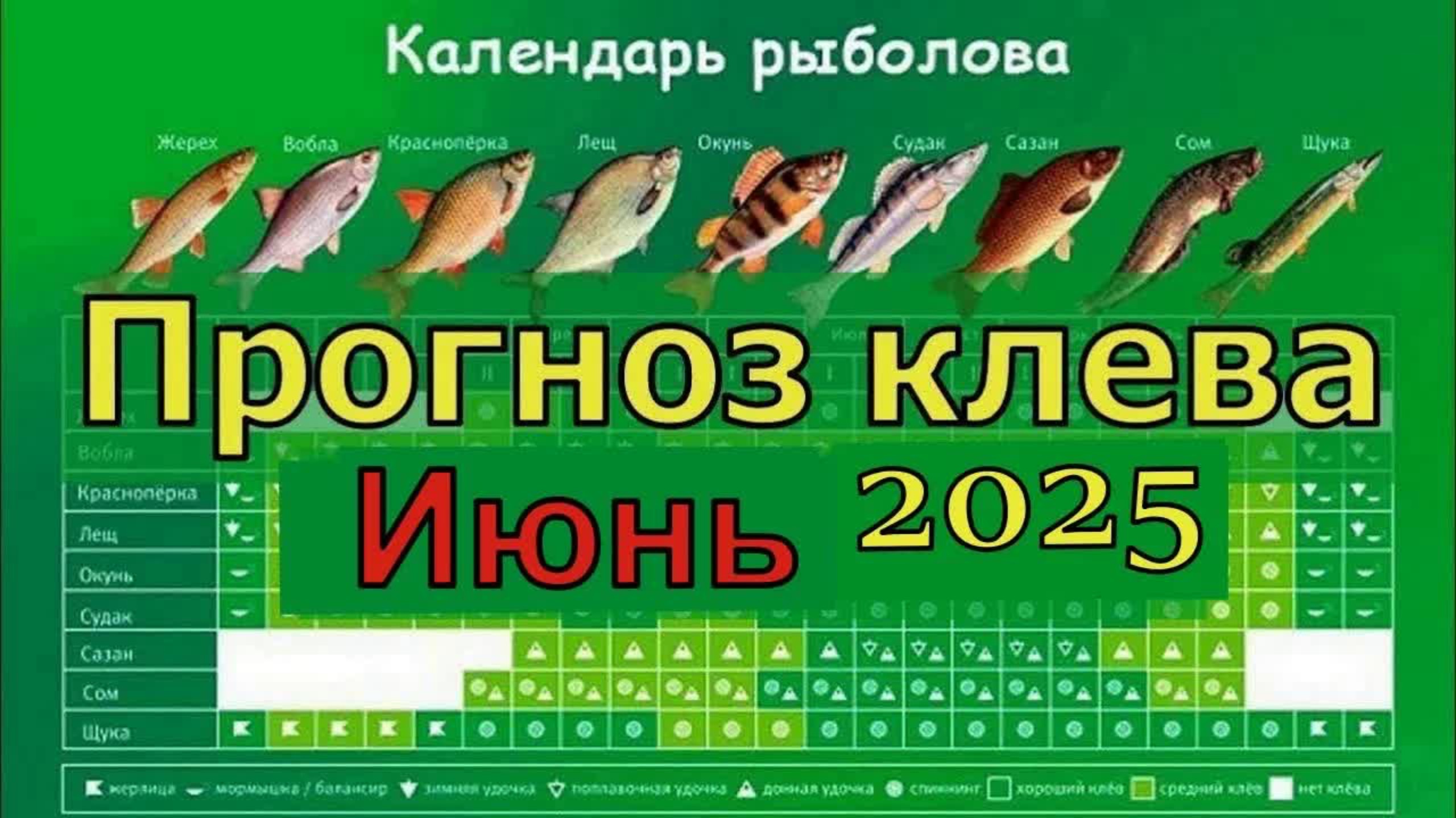Календарь рыбака на Июнь 2025  Прогноз клева рыбы на Июнь Лунный календарь клева рыбы июнь 2025