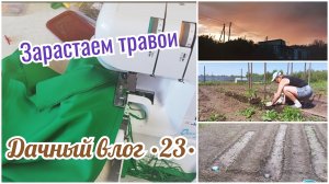 🏡 МНОГО ТРАВЫ || ☀️ Выросли мои посадки || Потерялась кошка || Подсадила помидоры