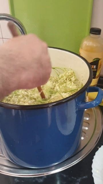 Домашний сок из цветов бузины/ (сируп)од зове #serbia #серб смотреть онлайн