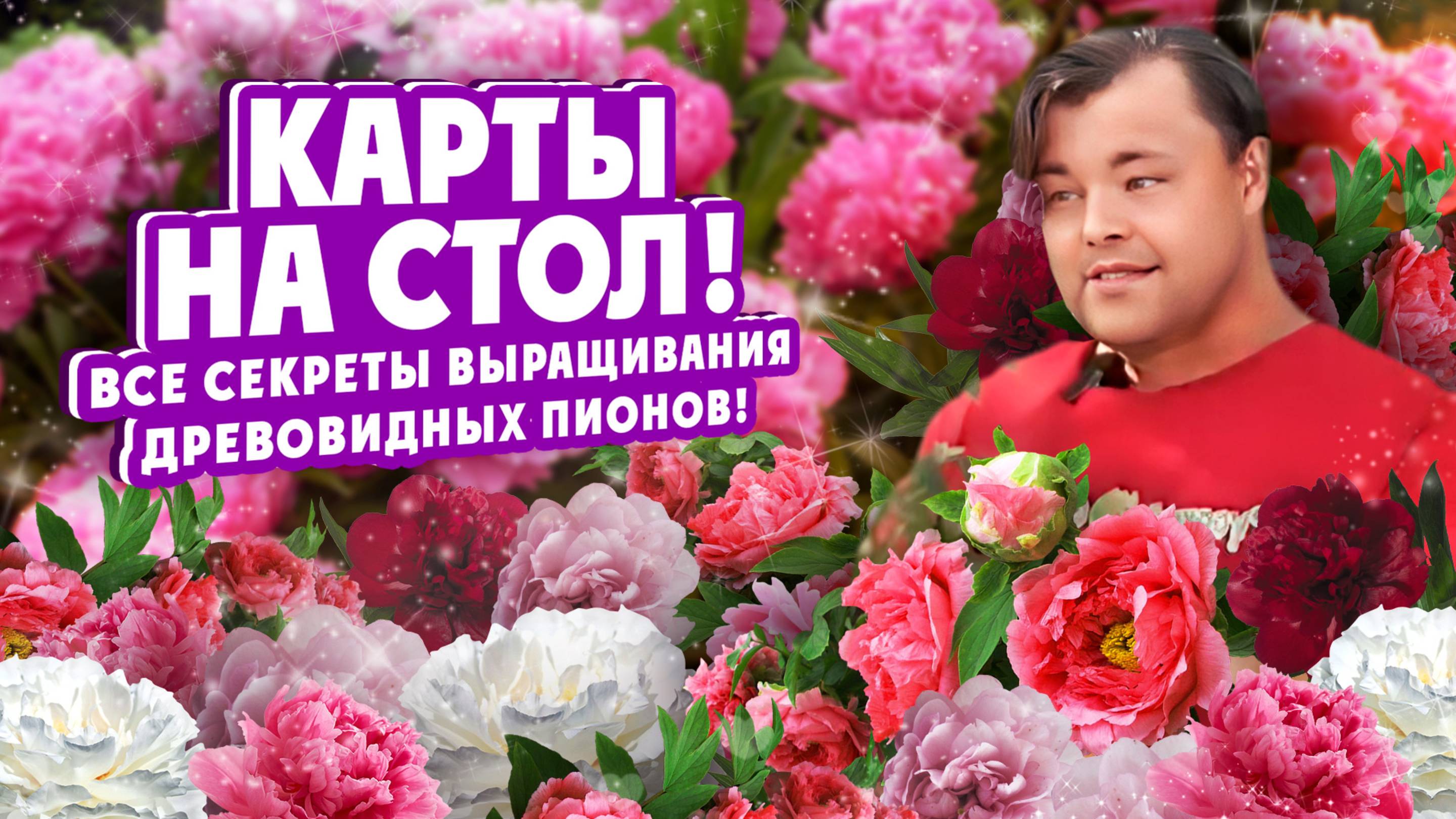 КАРТЫ НА СТОЛ! Все секреты выращивания древовидных пионов!