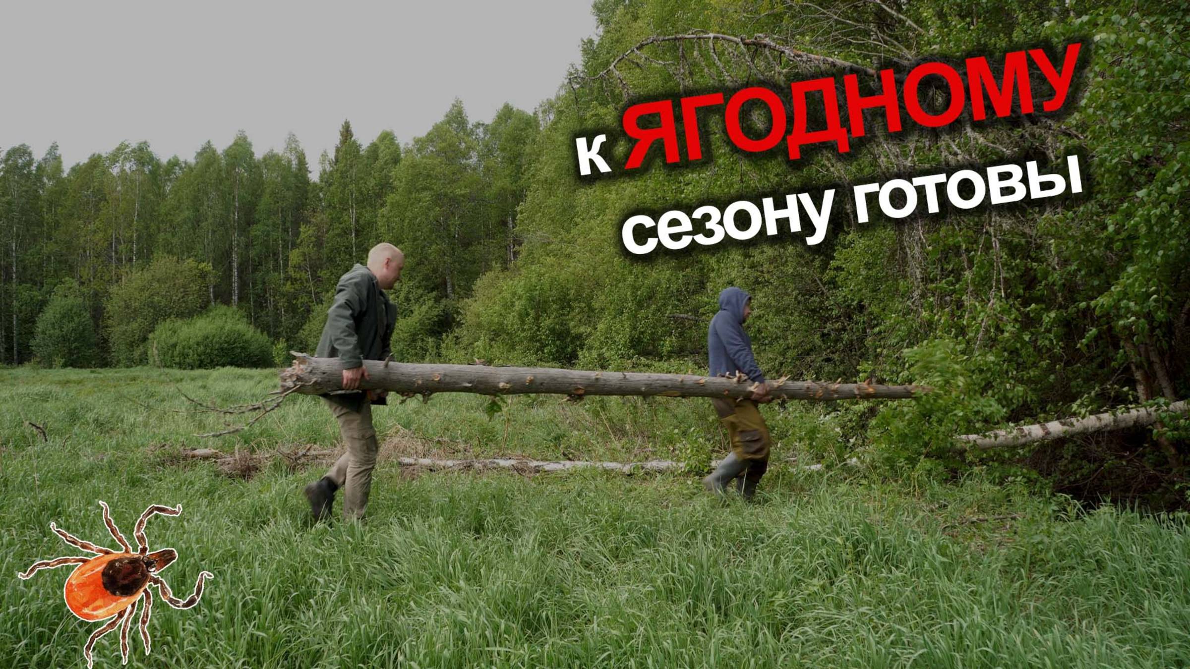 Шикарный бор. Сходил разведать дорогу. Сделали переход через брод. смотреть онлайн