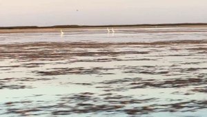 Невероятная рыбалка на каналах Азовского лимана!