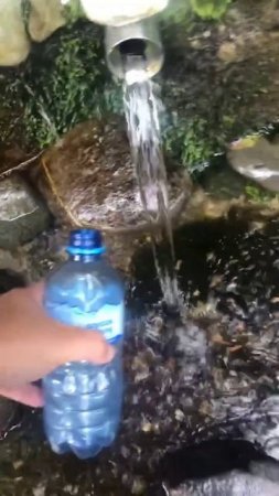 Водица ключевая