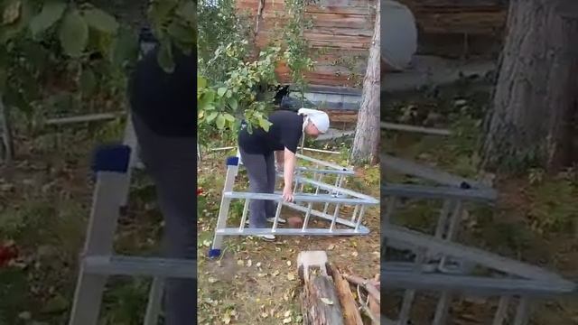 Как Таня собирала лестницу #моядача #садоводы #дачныеи смотреть онлайн