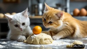 Cat makes cake. #cat #babyanimad #cute #cake