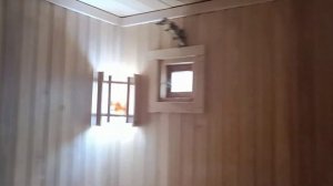 Обзор гостевого дома с баней. Сколько стоит построить,