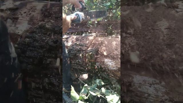 Размер не имеет значения, разпил болгарка + насадка , с? смотреть онлайн