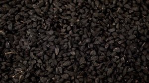 Семена черного тмина, медицина Галена