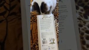 Тровяной чай Хохот шамана реакция кошек