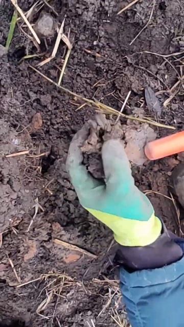 Серебреная монета в распаханном поле | советское сере? смотреть онлайн