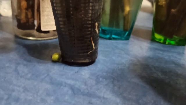 Укореняю инжир,сорт Коричневый турецкий #garden #рецепт #? смотреть онлайн