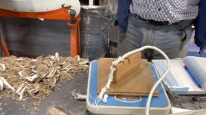 24.09.21г. Тест M390(63HRC) пеньковый канат 37мм 325 резов