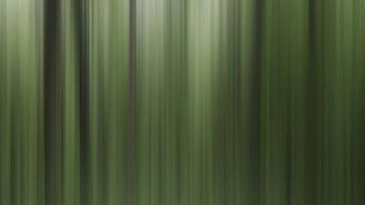 Новости Кино #Новостикино #Выпускотстудентов #КФСпбгуп #2025 #New #Пилот