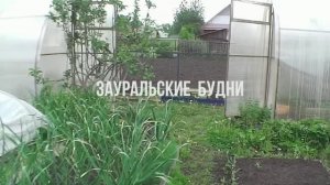 Деревенский забор