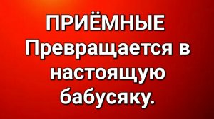 Приёмные/Обзор.