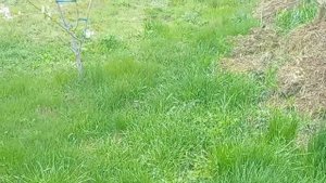 Сестра жены как приехала неожиданно так и расслабилас