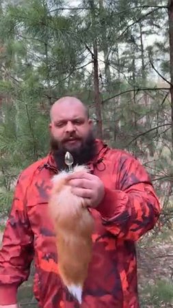 Очень странный хвост