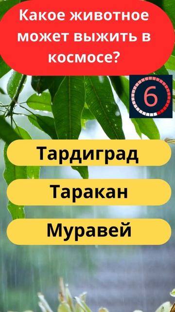 Интересные вопросы на тему животные и природа #10 #викт? смотреть онлайн