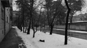 Цинковые белила