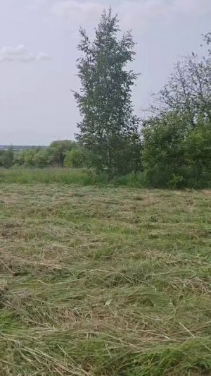 5 мая 2025