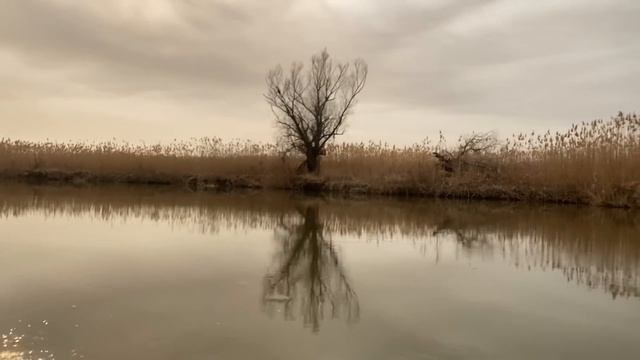 Рыбалка в Маково 10.03.2025 Доставка на острова. смотреть онлайн