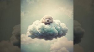 Кравченко Дмитрий - Мама (вар1)