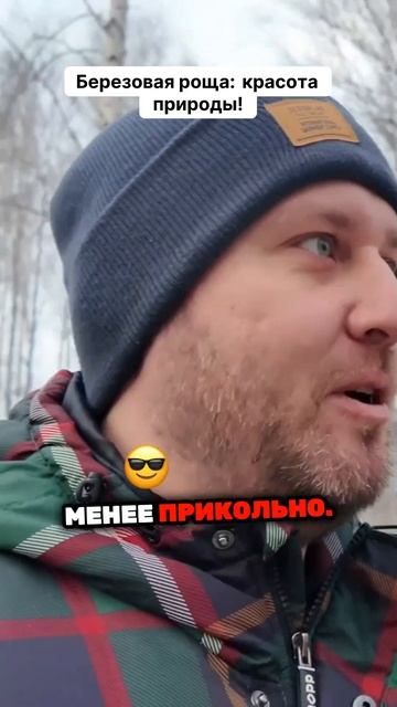 Березовая роща красота природы! смотреть онлайн