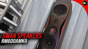 Обзор напольной акустики Swan Speakers RM600AMKII от Valeron's
